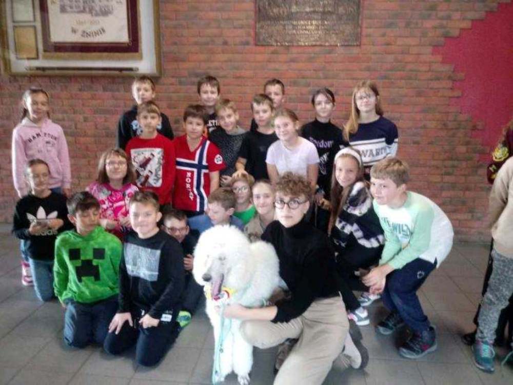 371494187 851254070039351 6926069857112917894 n